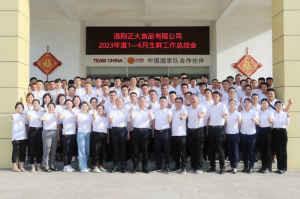 總結(jié)過(guò)去，計(jì)劃未來(lái)，協(xié)同創(chuàng)新，再創(chuàng)佳績(jī)！洛陽(yáng)正大舉行2023年上半年工作總結(jié)會(huì)議